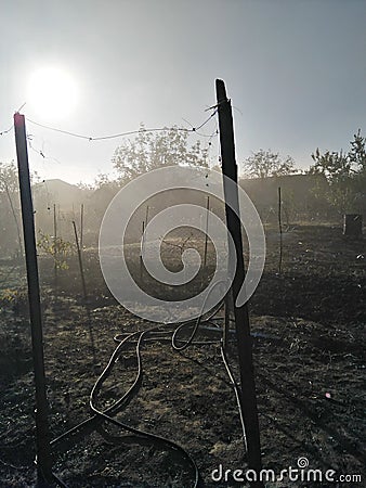 Early morning in the village. The mist and the sun s haze collection. Stock Photo