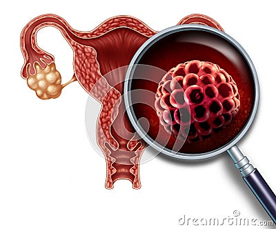 Early Pregancy Blastocyst Cartoon Illustration