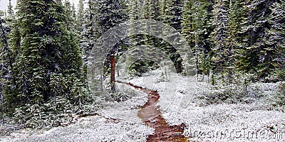 Early Snowfall Jasper National Park Stock Photo