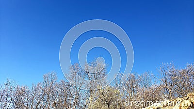 Early Spring budding trees Connecticut shoreline Stock Photo