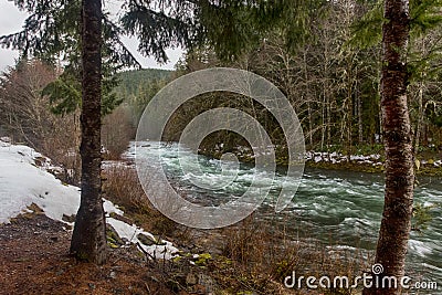 Early spring in forest Stock Photo