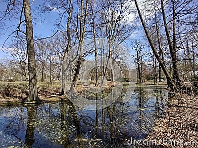 Early spring forest and a pond in Tiergarten , Berlin Stock Photo