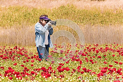 Elderly woman taking pictures of field with flowers Stock Photo