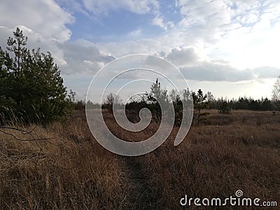 Early spring Kiev Kyiv Ukraine first time walk new young trees Stock Photo