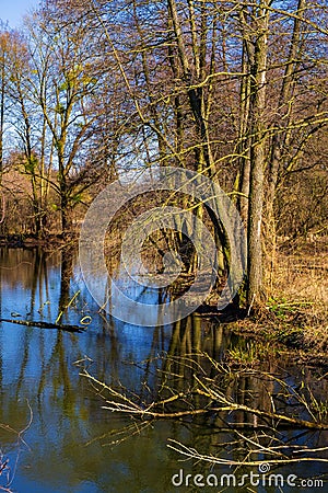 Early spring landscape of mixed forest and water ponds in Konstancin-Jeziorna Springs Park - near Warsaw Stock Photo