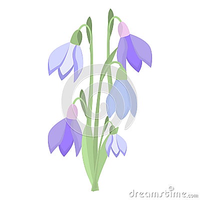 Early spring purple crocus and snowdrops nature beauty flowers vector. Vector Illustration