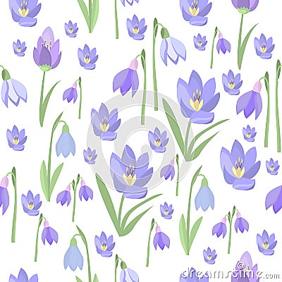 Early spring purple crocus and snowdrops nature beauty flowers vector. Vector Illustration