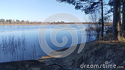 In early spring, the river has a fast current and a lot of water, which flooded the coastal bushes. On the sandy banks are pine an Stock Photo