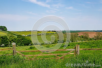 Early summer view of rolling English countryside Stock Photo