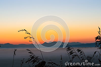 Early sunrise with ground fog and clear skies. Stock Photo