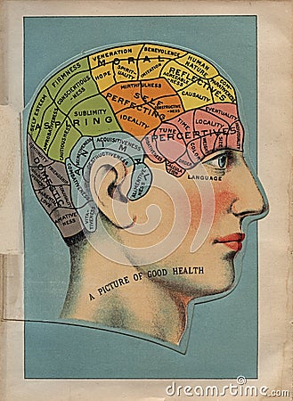 Early 20th Century Brain Area Illustration Cartoon Illustration