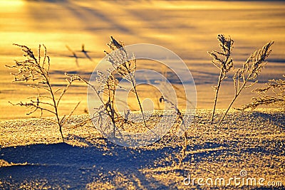 Early winter morning Stock Photo