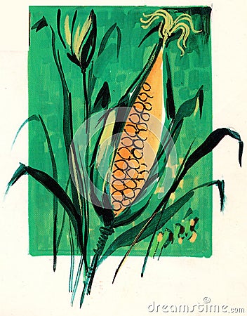 Ears of corn artistically drawn in green and orange Stock Photo