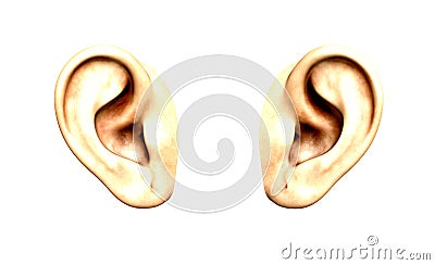 Ears isolated on white Stock Photo