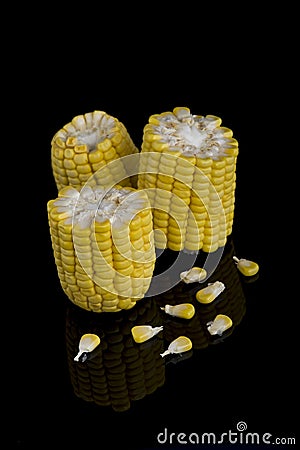 Ears sweet corn isolated on black background Stock Photo