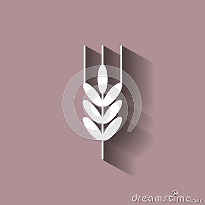 Ears of wheat, cereal. Ear of oats. rye ears. Icon with shadow d Vector Illustration