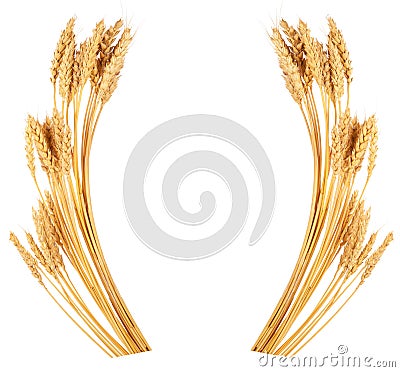 Ears of wheat. Frame Stock Photo