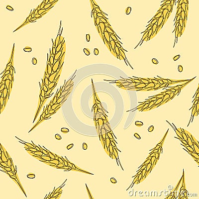 Ears of wheat hand drawn seamless pattern. Whole grain, natural, organic background for bakery package, bread products. Vector ill Vector Illustration