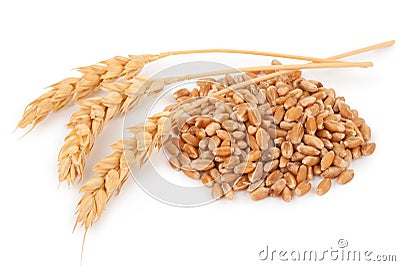 Ears of wheat and wheat grains Stock Photo