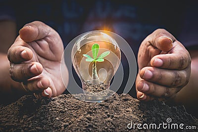 Earth day concept or protection environment. Renewable energy for sustainable. Hands protecting plant growing on soil. Stock Photo