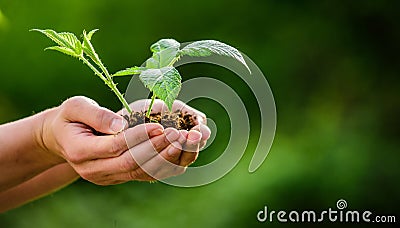 Earth day. ecology environment concept. happy earth day. Eco living. farming and agriculture. Gardening. new life birth Stock Photo