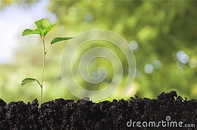 Earth day Stock Photo