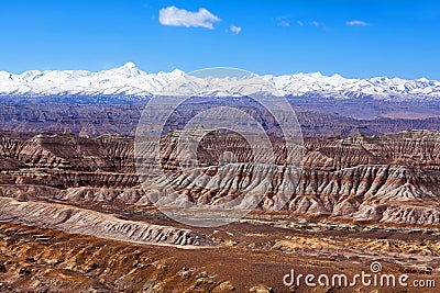 Earth Forest Geopark in Zhada County, Tibet Stock Photo
