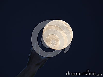Earth Is Not Enough - Greedy Hand of a Man Stock Photo