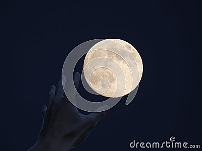 `Earth Is Not Enough` - Greedy Hand of a Man Stock Photo