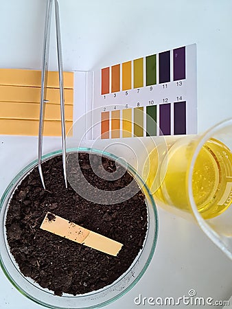 Earth with PH test stripe and yellow liquid in laboratory Stock Photo