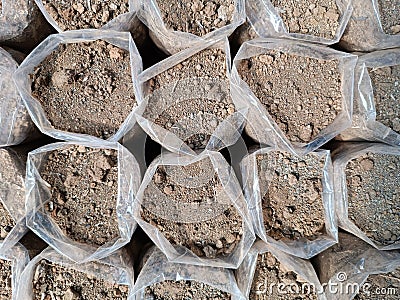 earth soil sample test laboratory top view Stock Photo