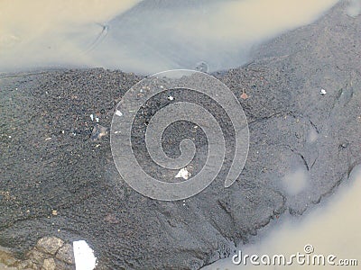 EARTH TEST OF HUMUS Stock Photo