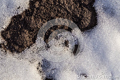 Earth from under the snow Stock Photo