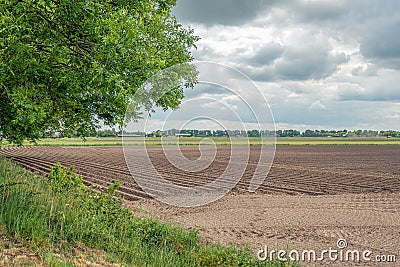 Earthed potato ridges on a Dutch field Stock Photo