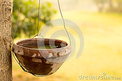 Earthenware bird feeder hanging from a tree Stock Photo