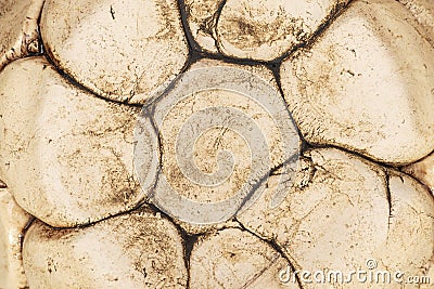 The earthy texture of a handmade clay flowerpot bottom resembling dry and cracked earth. Aridity and drought concept Stock Photo