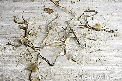 Earthy Texture Wood Panel Background Stock Photo