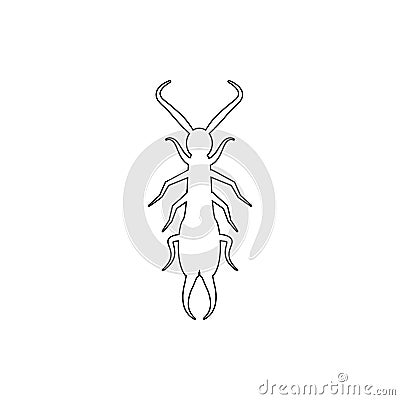 earwig icon. Element of insect for mobile concept and web apps icon. Thin line icon for website design and development, app Stock Photo
