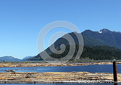 Log Booms, Sayward, British Columbia Stock Photo