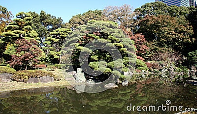 East Gardens of Imperial Palace, Tokyo, Japan Stock Photo