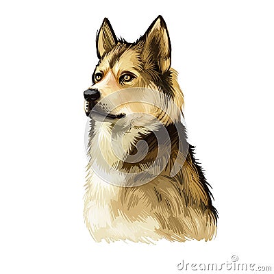 East Siberian Laika, Vostotchno-Sibirskaia Laika dog digital art illustration isolated on white background. Russian origin Cartoon Illustration