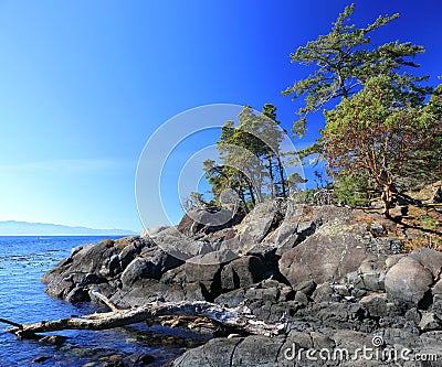 East Sooke Wilderness Park at Petroglyph Point on Southern Vancouver Island, British Columbia Stock Photo