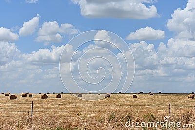 East Texas Hay Field Stock Photo