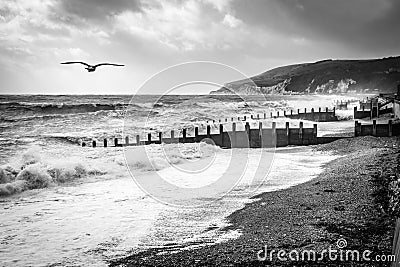 EASTBOURNE, EAST SUSSEX/UK - OCTOBER 21 : Tail End of Storm Bria Editorial Stock Photo