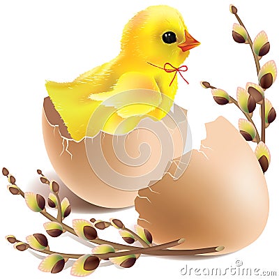 Easter baby chick hatched Vector Illustration
