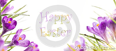 easter background with spring flowers Stock Photo