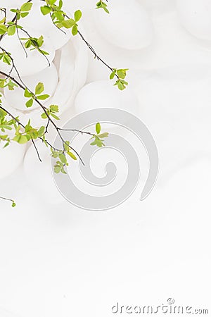 Easter background white eggs green twigs Stock Photo