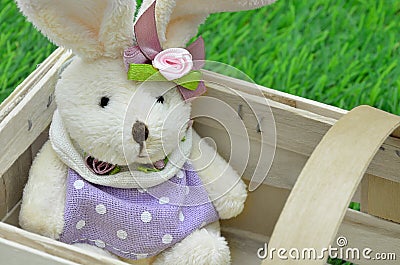 Easter bunny in a Basket Stock Photo