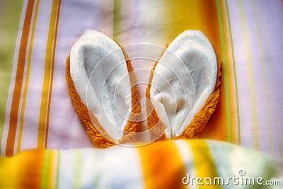 Easter bunny ears in bed under bedsheets Stock Photo