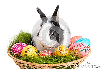 Easter bunny with eggs in basket Stock Photo